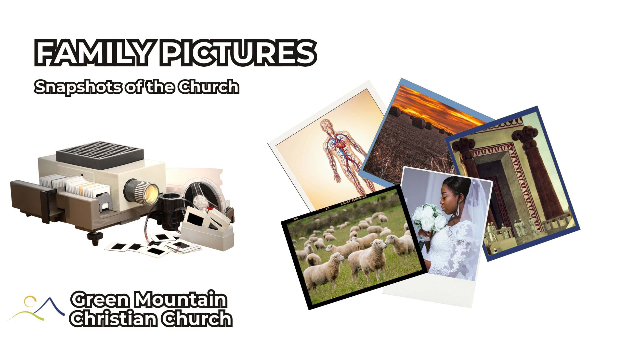 Family Pictures